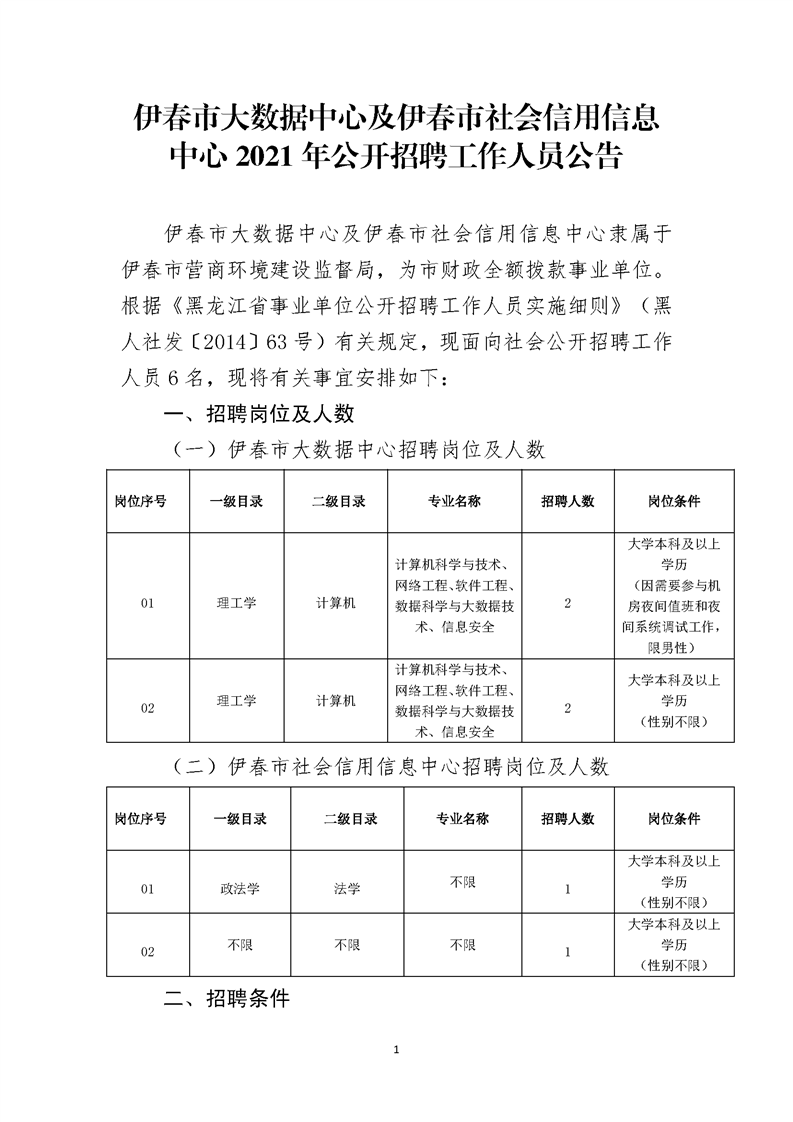 靖宇县数据和政务服务局招聘公告详解