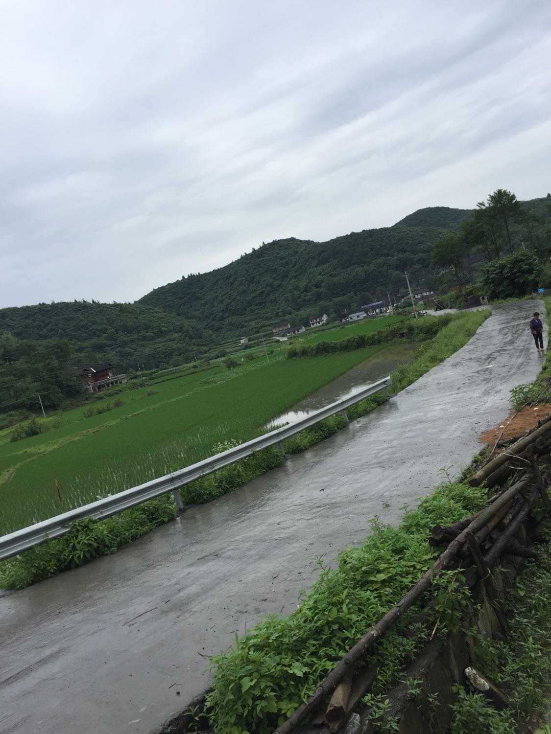 美借岗村天气预报更新通知