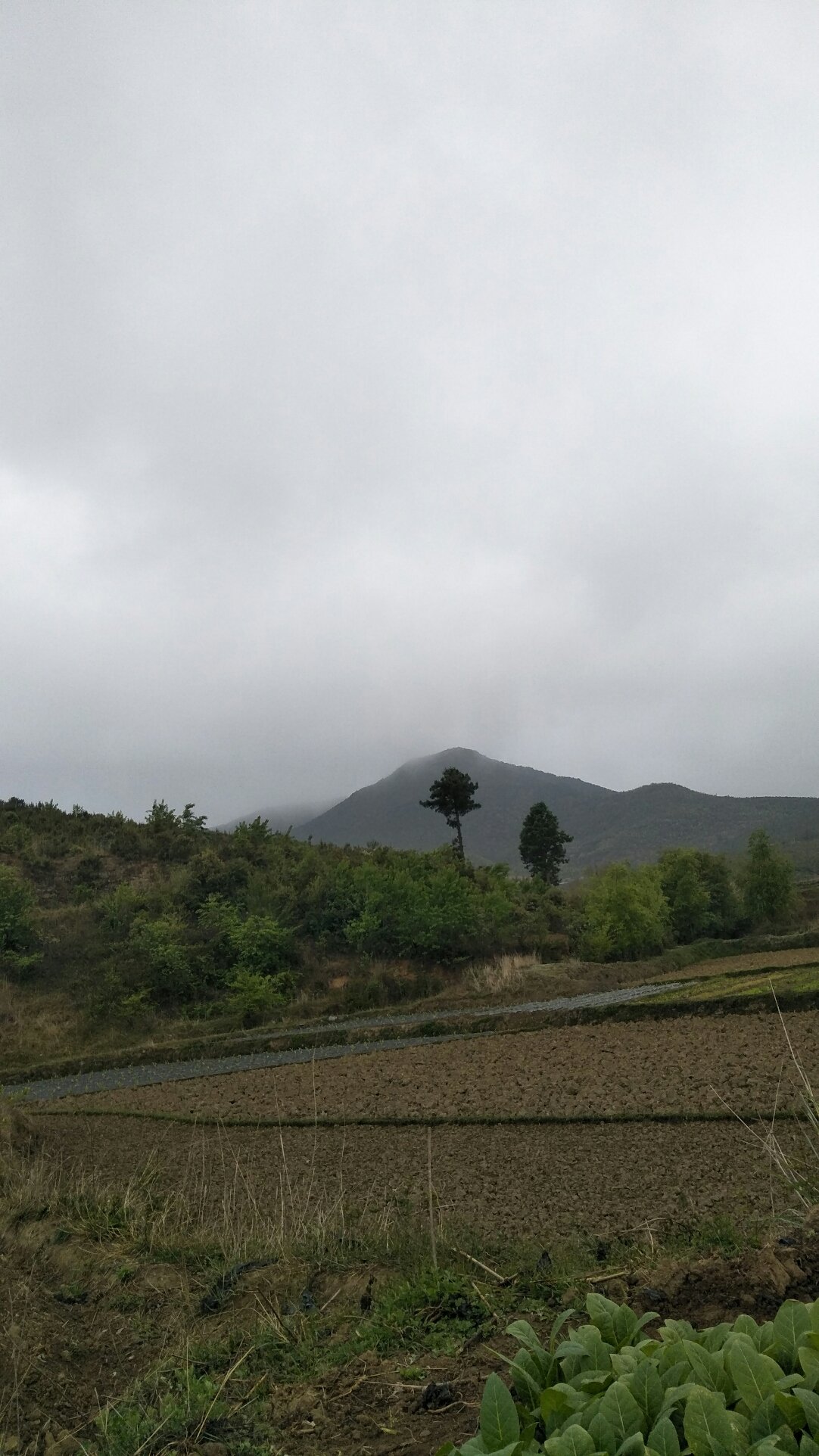 康宁乡天气预报更新通知