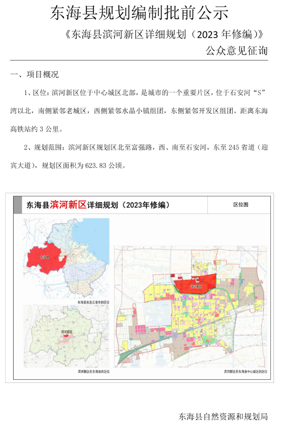 东海县数据和政务服务局最新项目深度解读