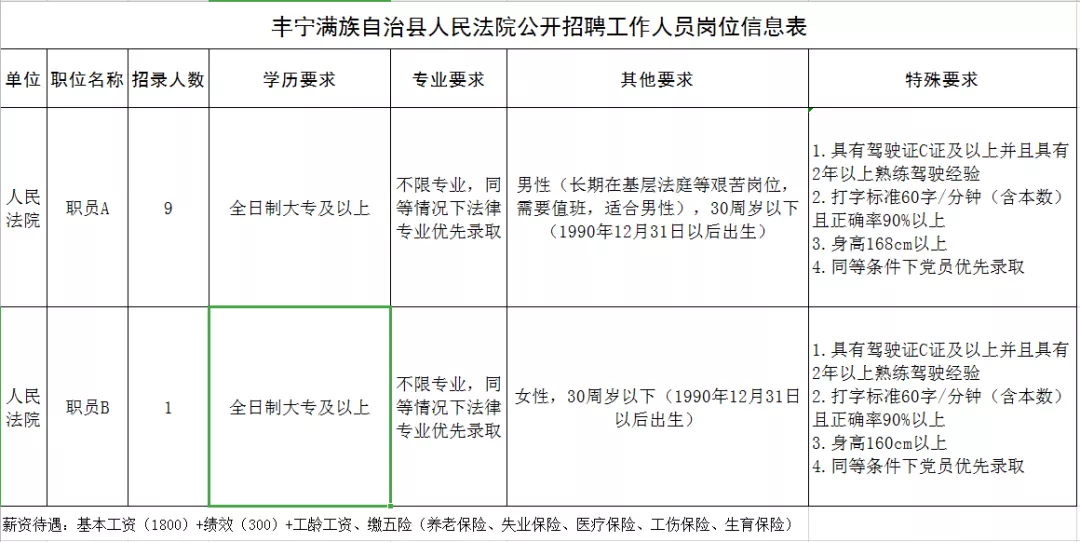 丰宁满族自治县人民政府办公室最新招聘公告概览