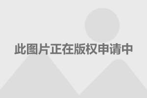 东焦街道办事处最新发展规划概览