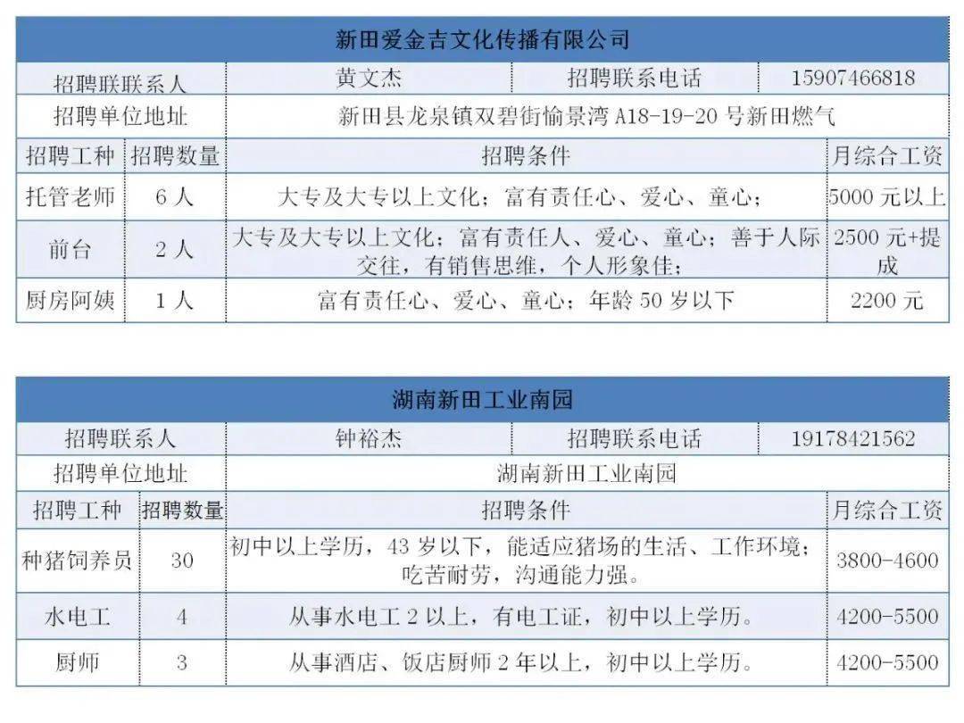 新田县初中招聘最新信息汇总