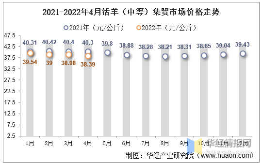 今日活羊市场最新价格动态解析