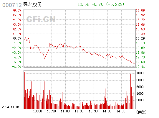 锦龙股份最新动态解析，现状透视与未来展望（股票代码，000712）