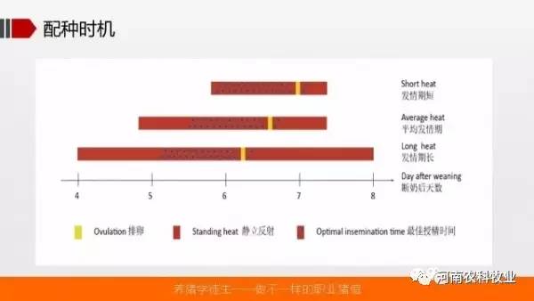 新澳好彩免费资料查询最新,实地考察数据策略_iShop99.676