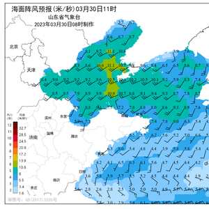 2024年11月5日 第50页