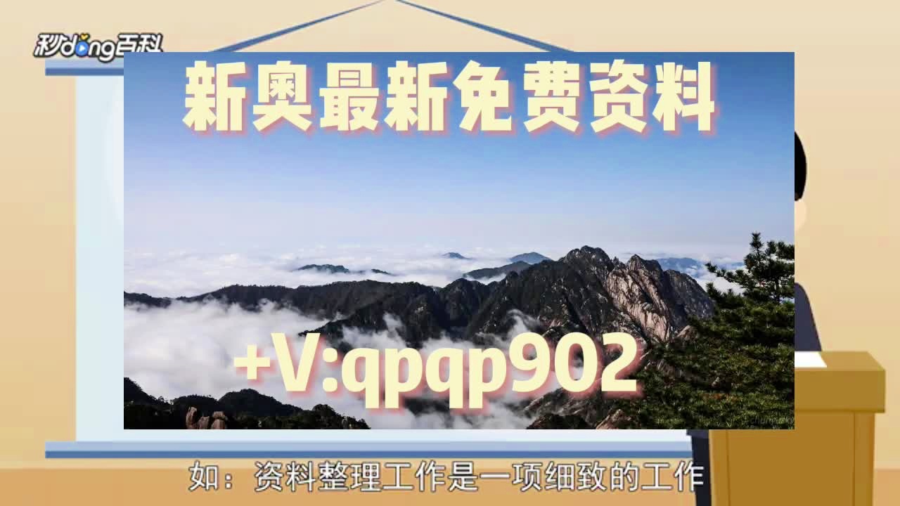 2024新澳正版免费资料大全个,适用性策略设计_WP85.960