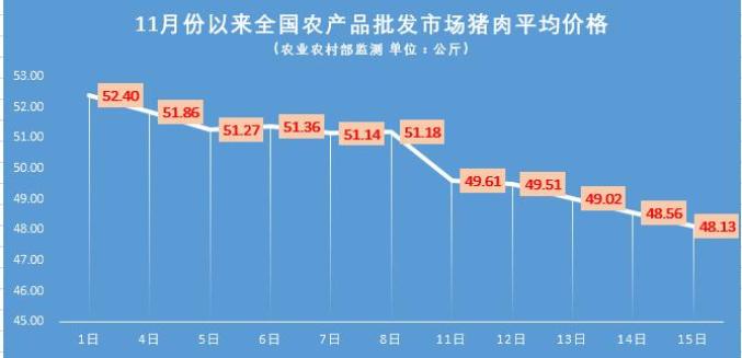 猪肉最新价格动态解析报告