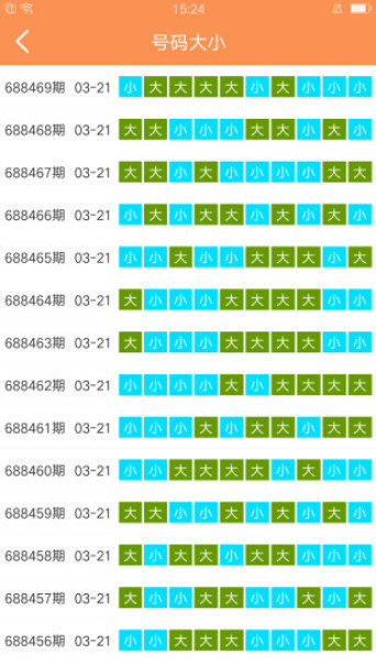 澳门六开彩天天开奖结果查询今天澳门,稳定执行计划_N版66.916