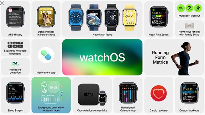 新澳门天天开奖资料大全,数据整合执行计划_watchOS22.367