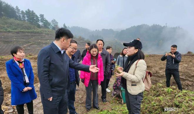 江口县新任领导朱雨职务揭晓，影响与展望