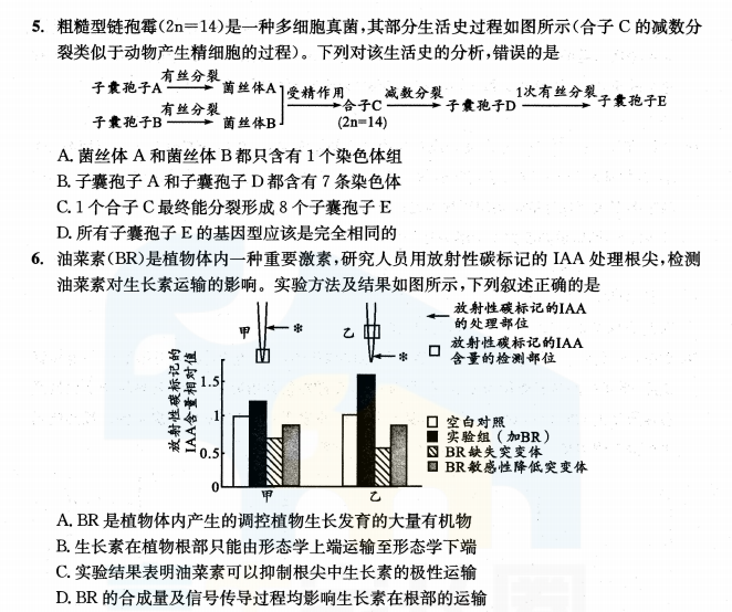 2024新澳门天天彩资料大全,实地考察数据解析_Essential19.435