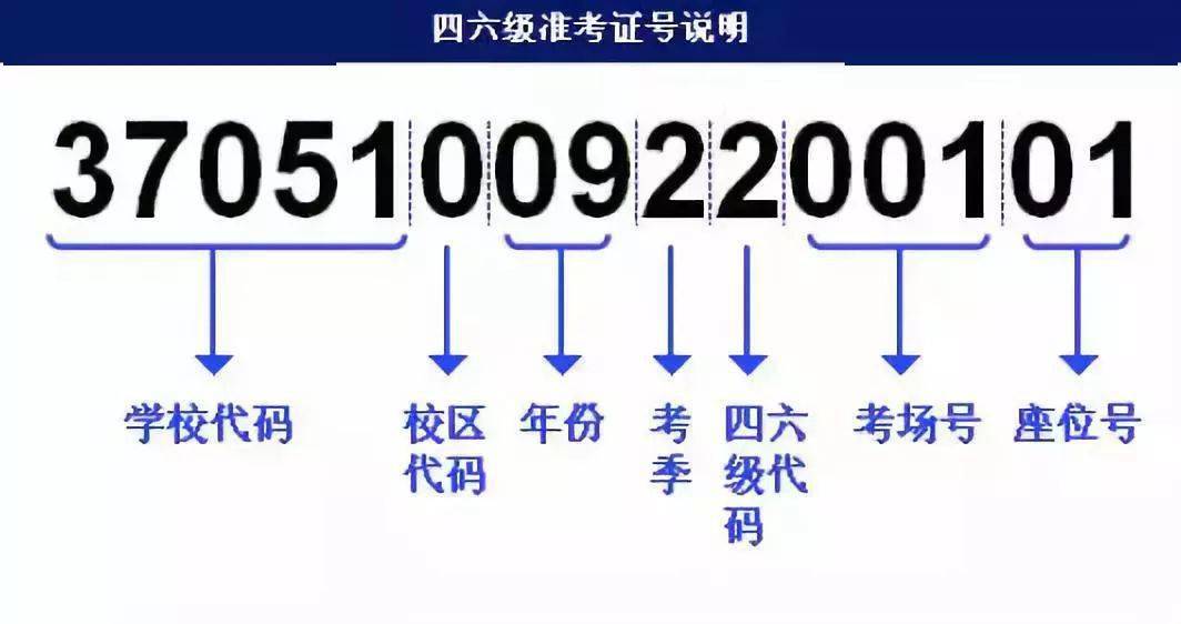 202管家婆一肖一吗,可靠计划策略执行_U19.287