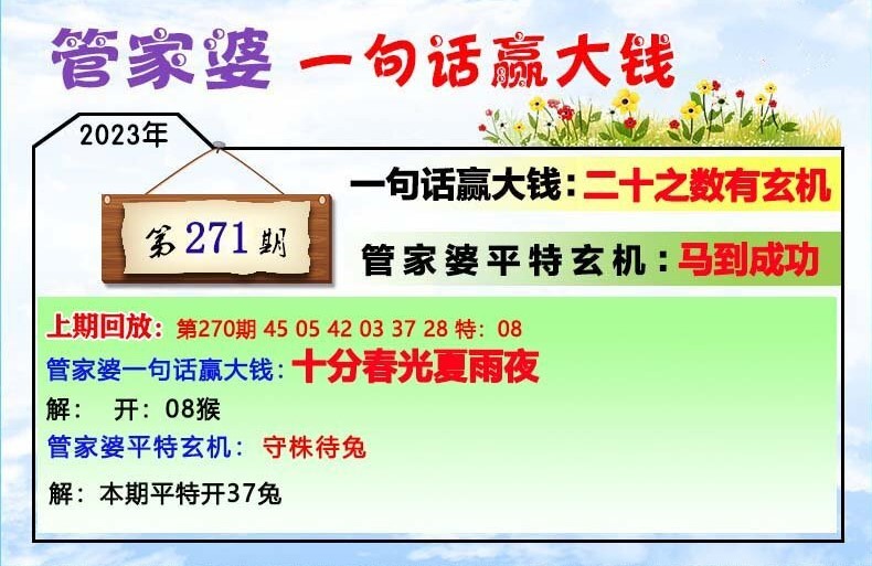 22023管家婆一肖中特,效率解答解释落实_MT43.990