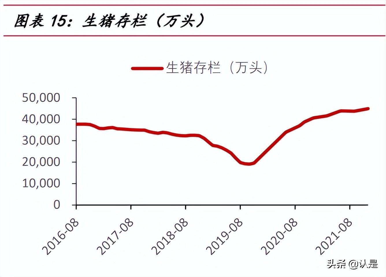 天邦股份股票最新动态全面解读