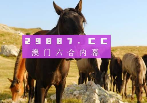 澳6图库app下载,专业评估解析_W92.631