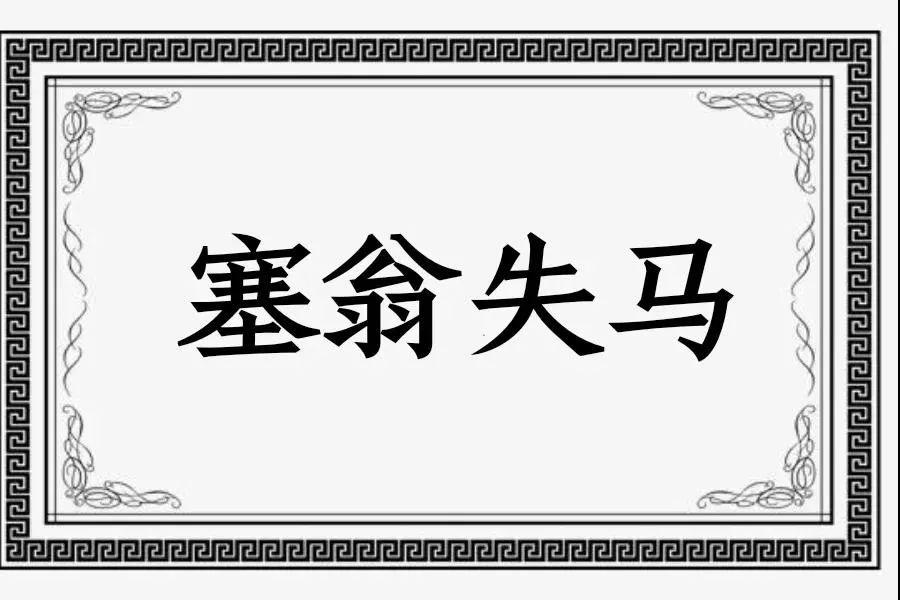 澳门今晚特马开什么号,动态词语解释落实_SHD32.959