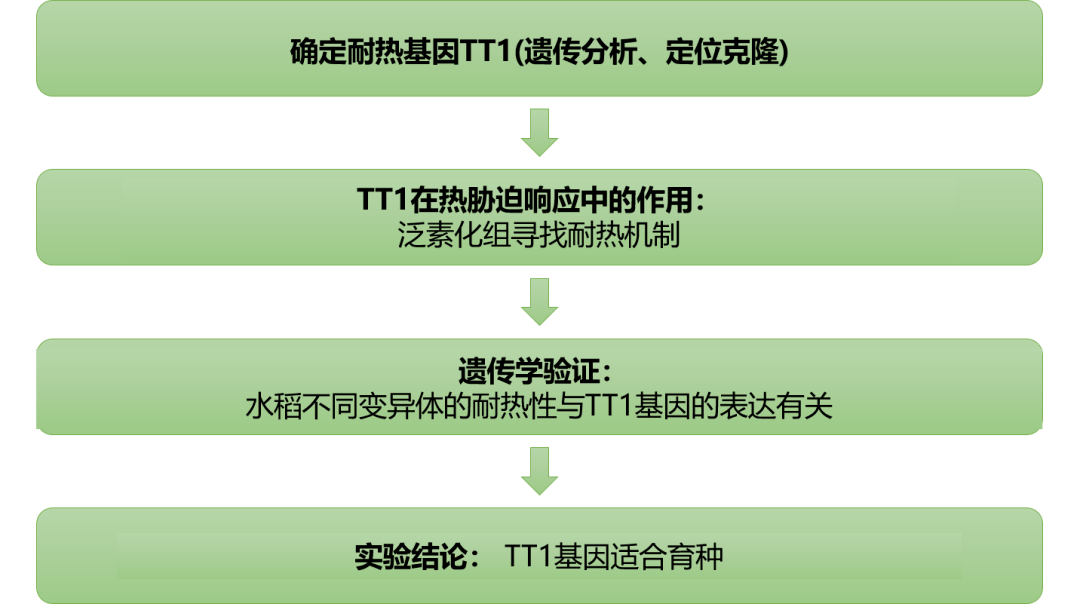 新门内部资料精准大全,实效性策略解读_至尊版61.321