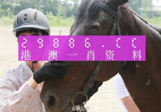 公司介绍 第171页