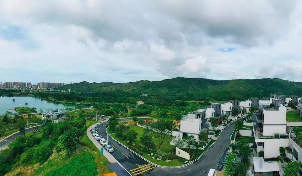 林州福田花雨新篇章，最新动态绽放光彩