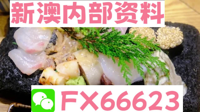 新澳精准资料大全,动态词语解释落实_Holo37.881