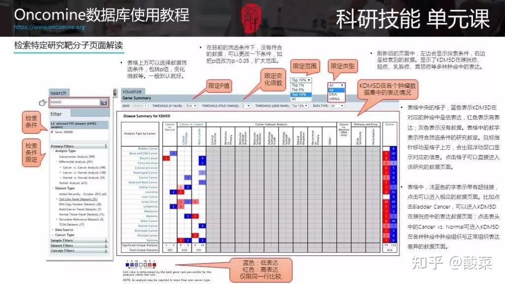 新奥门特免费资料查询,数据导向实施_Advanced75.806