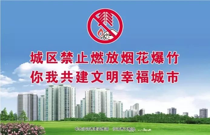 沙河市龙星最新招聘，探寻企业人才新动力启航点