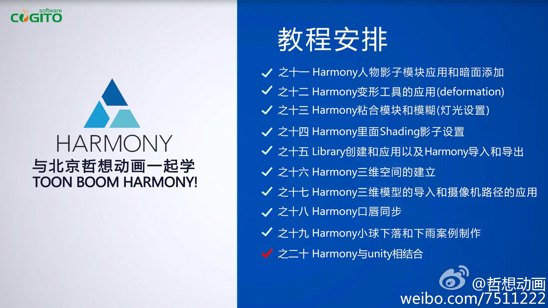 一码中中特,实际案例解析说明_Harmony款10.20