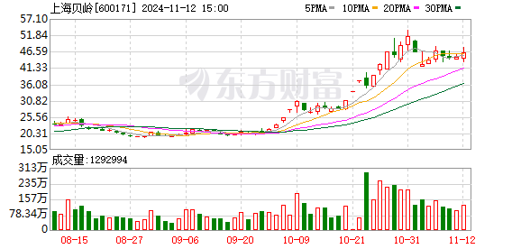 上海贝岭股票最新消息综述，全面解读市场动向与前景展望