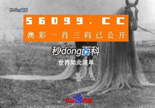 澳门一肖一码一必中一肖同舟前进,理性解答解释落实_The55.791