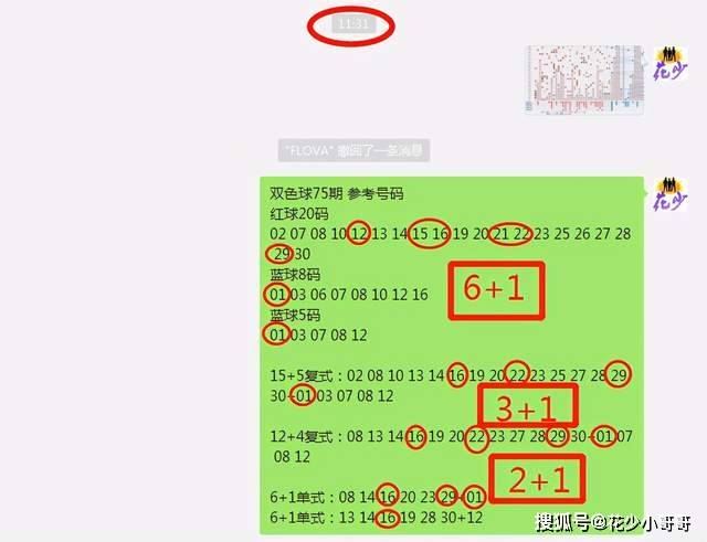 白小姐今晚特马期期准六,创新解析执行策略_S70.786