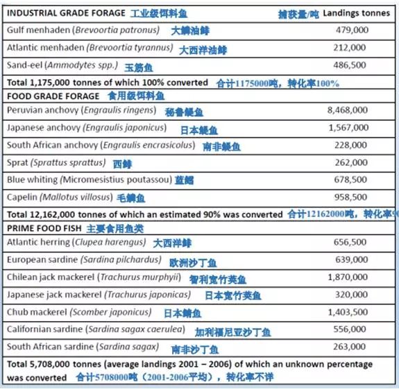 新澳精准资料2024第5期,实地数据评估解析_Device73.85