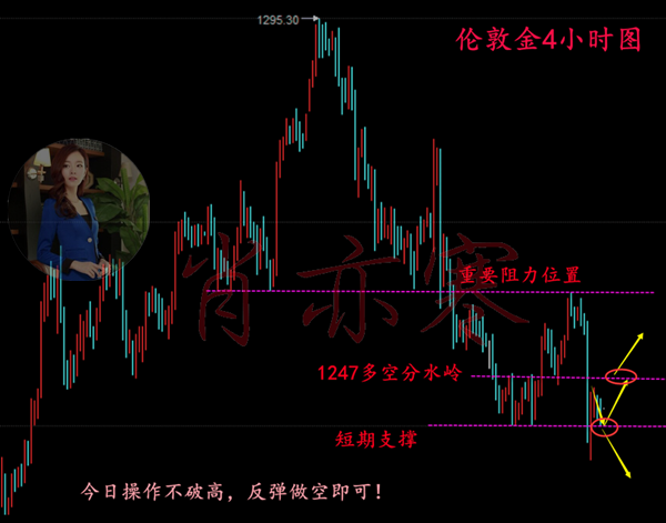 管家婆一码一肖100中奖舟山,前瞻性战略定义探讨_Max32.169