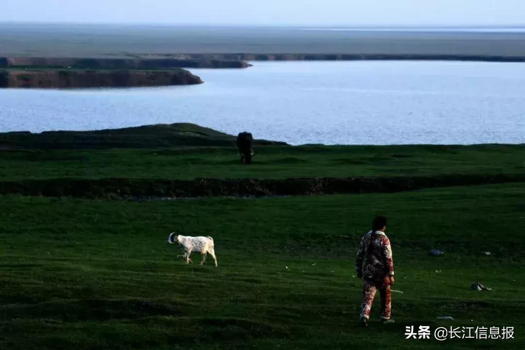 岳阳县洪水最新消息，众志成城，共克难关