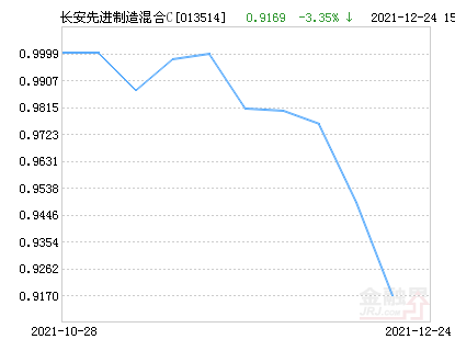 最新净值动态解析，关注110030基金净值的最新变化