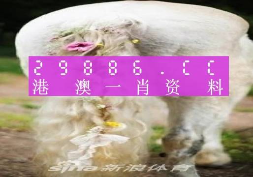 澳门必中一肖一码四不像,实地评估策略数据_专属版48.881