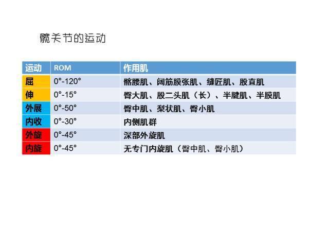 新奥彩资料免费提供,定性分析说明_Holo73.112