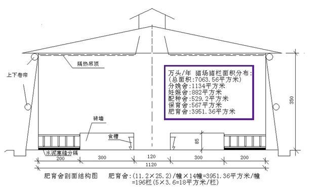 新澳精准资料大全,专业执行方案_W24.646