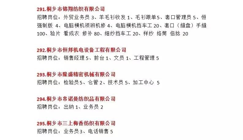 苍南金乡招聘网最新招聘动态深度解析及求职指南