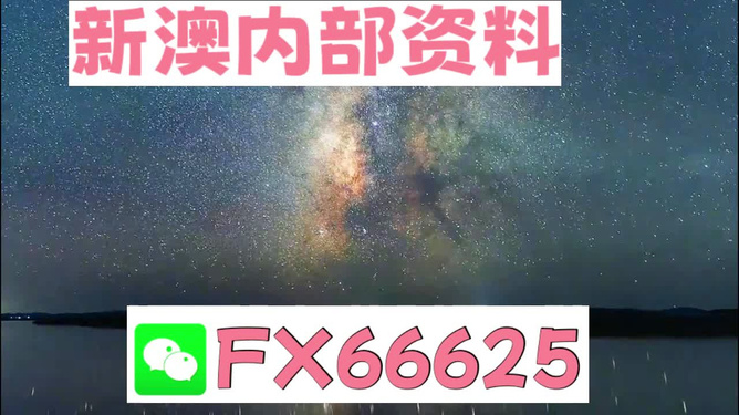 新澳天天彩免费资料大全的特点,动态词语解释落实_T45.580