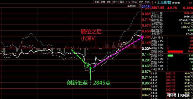 今天晚上澳门三肖兔羊蛇,详细数据解释定义_精装款13.901