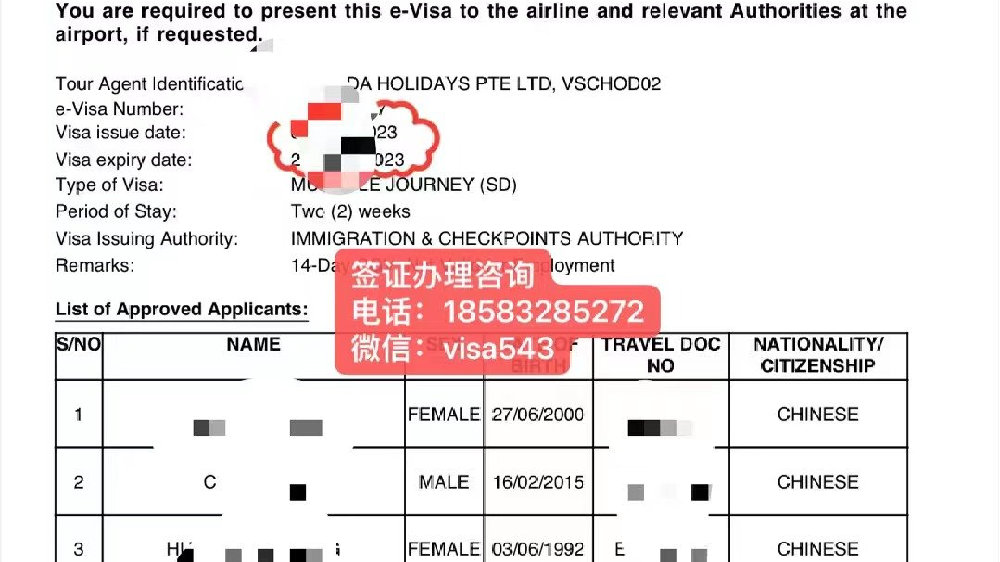 新加坡来华签证最新政策解读与影响分析（2023版）