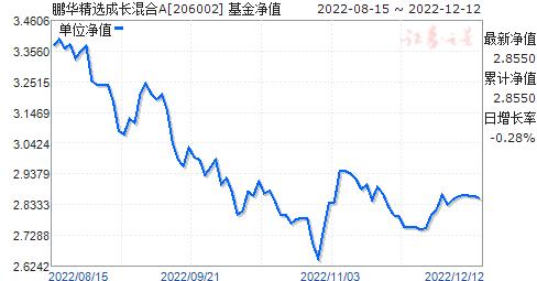 关于今日最新净值探讨，001028基金净值查询