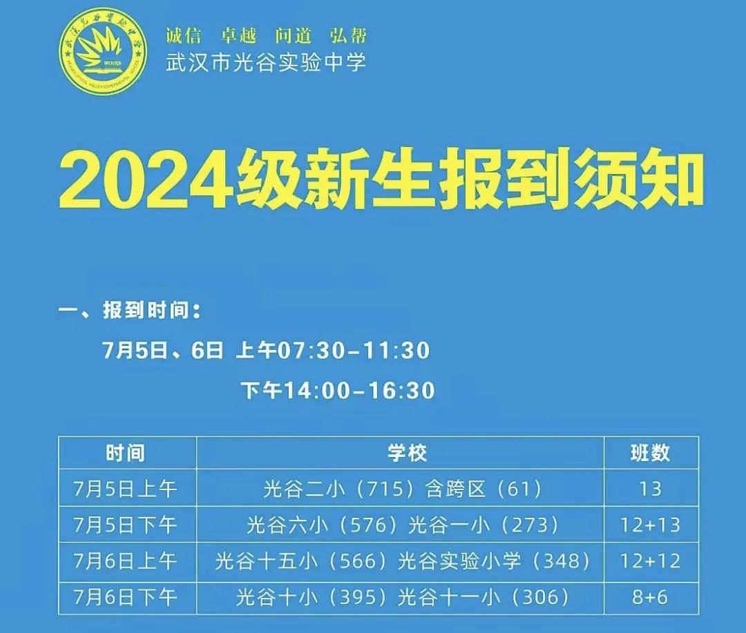 新奥2024年免费资料大全,未来解答解释定义_9DM51.610