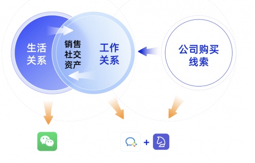 2024今晚香港开特马,深层设计解析策略_RX版22.281