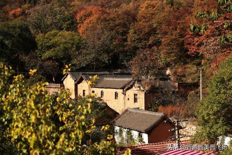 河山村领导引领繁荣之路