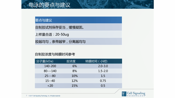 2024年12月 第1781页