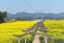 镇罗营镇天气预报更新通知