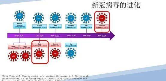 新冠病毒2024年最新消息,科学基础解析说明_免费版46.676